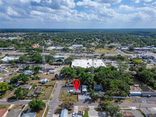126 Ridgewood Ave, Brandon, FL 33510 - aerial view