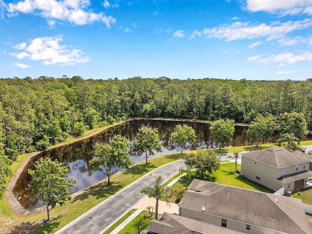 12831 White Bluff Rd, Hudson, FL 34669 - bird's eye view of a forest and a large body of water