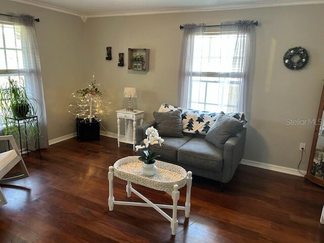 4074 Parkway Blvd, Land O Lakes, FL 34639 - photo 11