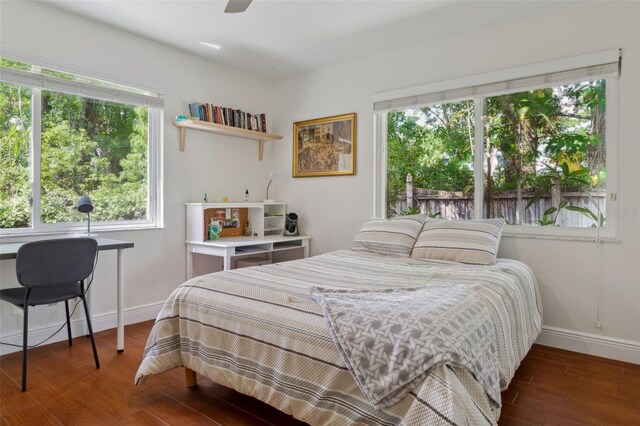 3906 Floyd Rd, Tampa, FL 33618 - bedroom with wood finished floors, baseboards, multiple windows, and a ceiling fan