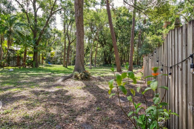 3906 Floyd Rd, Tampa, FL 33618 - view of yard