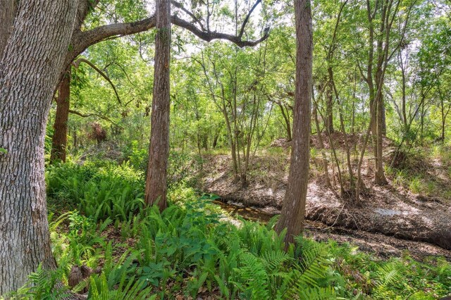 3906 Floyd Rd, Tampa, FL 33618 - view of wooded area