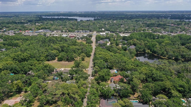 3906 Floyd Rd, Tampa, FL 33618 - aerial view of a heavily wooded area and a large body of water
