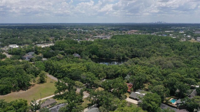 3906 Floyd Rd, Tampa, FL 33618 - aerial view of a forest and a large body of water