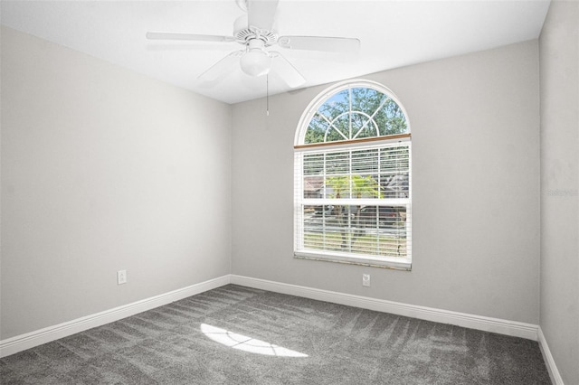 13613 Laraway Dr, Riverview, FL 33579 - spare room with carpet floors, baseboards, and a ceiling fan
