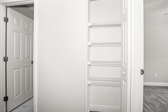 13613 Laraway Dr, Riverview, FL 33579 - view of closet