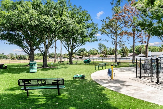 13613 Laraway Dr, Riverview, FL 33579 - view of community with a dog friendly area