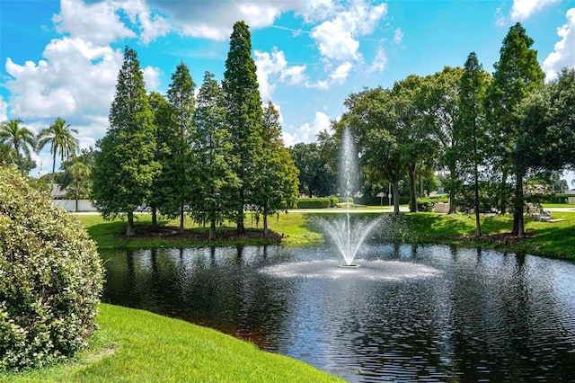 13613 Laraway Dr, Riverview, FL 33579 - surrounding community with a water view and a yard
