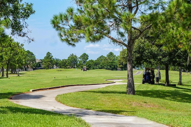 13613 Laraway Dr, Riverview, FL 33579 - view of property's community with a yard and view of golf course