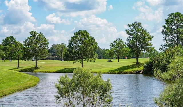 13613 Laraway Dr, Riverview, FL 33579 - view of property's community featuring a water view, view of golf course, and view of scattered trees