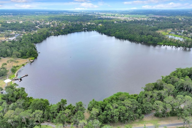 aerial view with a water view and a view of trees