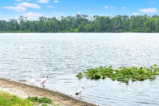 property view of water