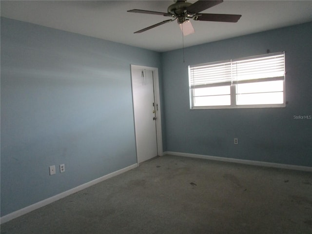 6015 19th St N Unit 301, Saint Petersburg, FL 33714 - photo 12