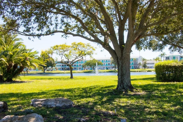 6015 19th St N Unit 301, Saint Petersburg, FL 33714 - photo 43