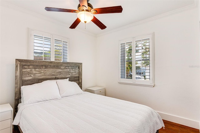 4681 Carson St NE, Saint Petersburg, FL 33703 - photo 9