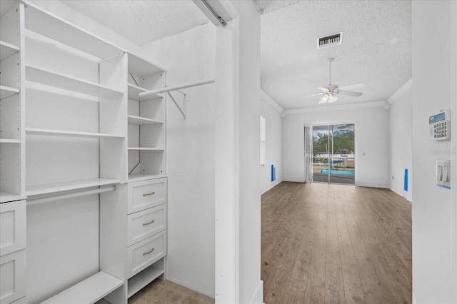 3434 St Ives Blvd, Spring Hill, FL 34609 - photo 14