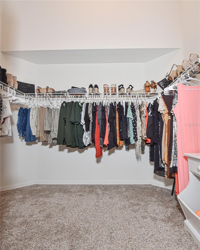 2604 Clareside Dr, Valrico, FL 33596 - spacious closet with carpet flooring