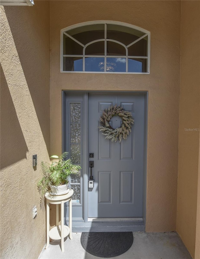 2604 Clareside Dr, Valrico, FL 33596 - view of exterior entry with stucco siding