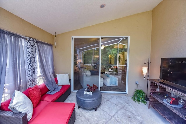 2604 Clareside Dr, Valrico, FL 33596 - living area with lofted ceiling, carpet, and a textured ceiling