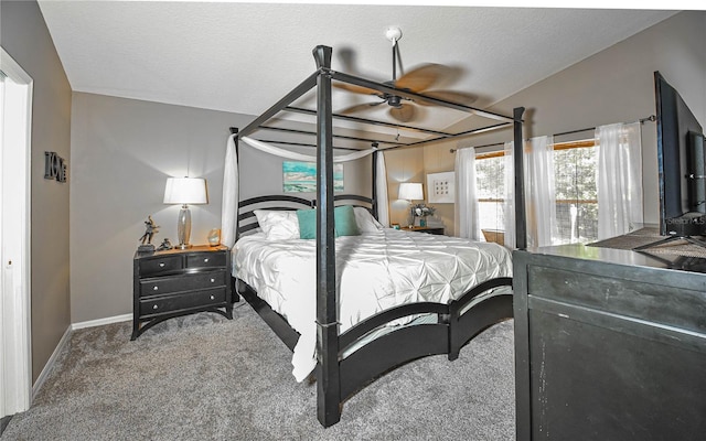 2604 Clareside Dr, Valrico, FL 33596 - bedroom with carpet, baseboards, and a textured ceiling