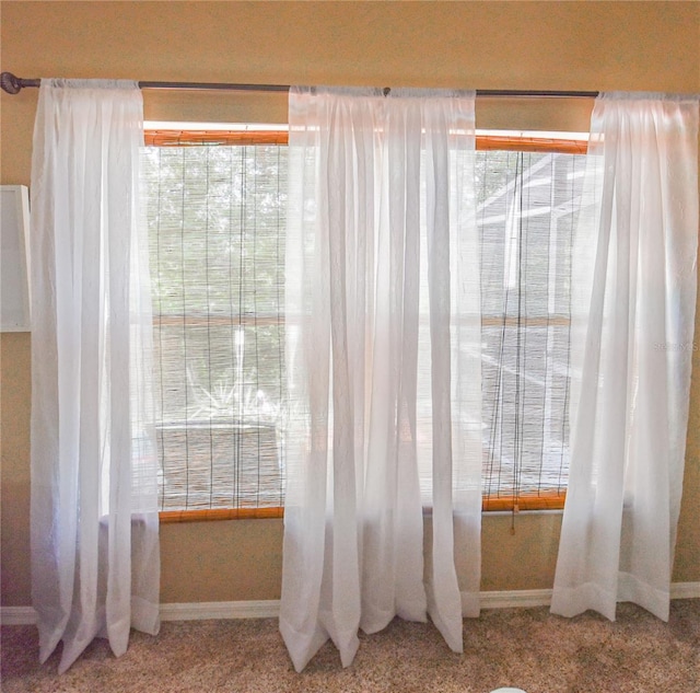 2604 Clareside Dr, Valrico, FL 33596 - bathroom featuring plenty of natural light and baseboards