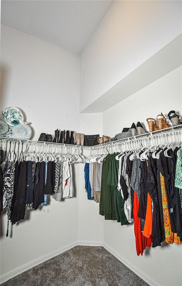 2604 Clareside Dr, Valrico, FL 33596 - spacious closet featuring carpet