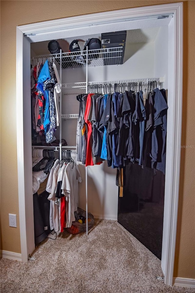 2604 Clareside Dr, Valrico, FL 33596 - view of closet