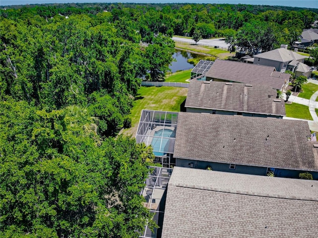 2604 Clareside Dr, Valrico, FL 33596 - aerial view of a forest and a nearby body of water