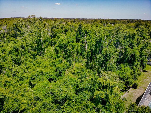 2604 Clareside Dr, Valrico, FL 33596 - aerial view of a forest