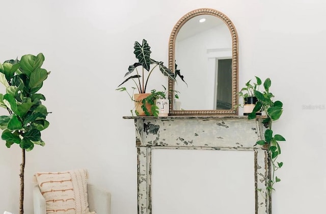 view of room details