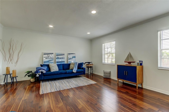 1115 Rue Des Chateaux Unit 2B, South Pasadena, FL 33707 - living room featuring ornamental molding, wood finished floors, and a healthy amount of sunlight