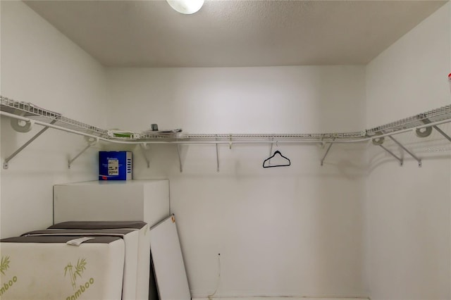 1115 Rue Des Chateaux Unit 2B, South Pasadena, FL 33707 - view of walk in closet