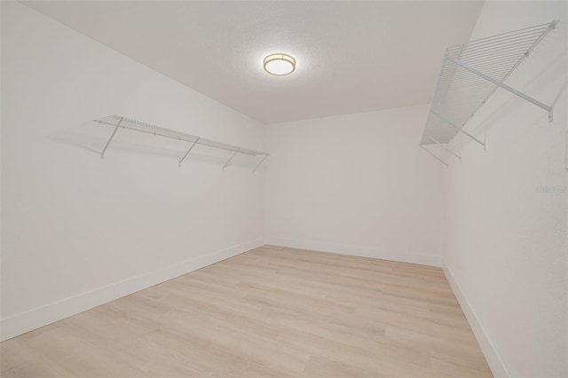 spacious closet featuring light wood-style floors