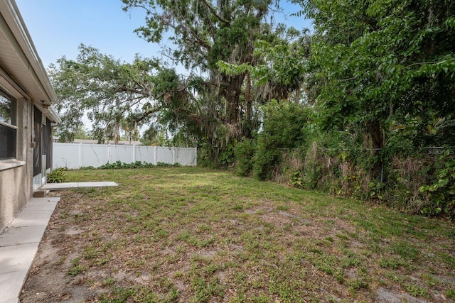 3601 Grayton Dr, New Port Richey, FL 34652 - view of yard