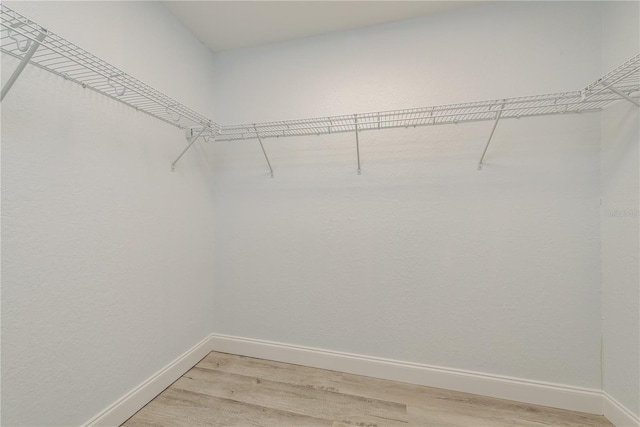 1152 Jackmar Rd, Dunedin, FL 34698 - walk in closet with light wood-type flooring