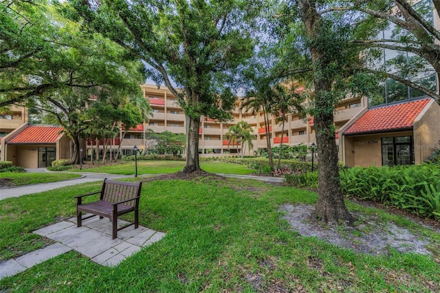 view of home's community with a yard