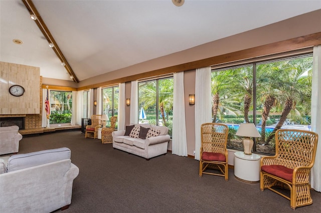 sunroom featuring track lighting, carpet floors, plenty of natural light, and vaulted ceiling