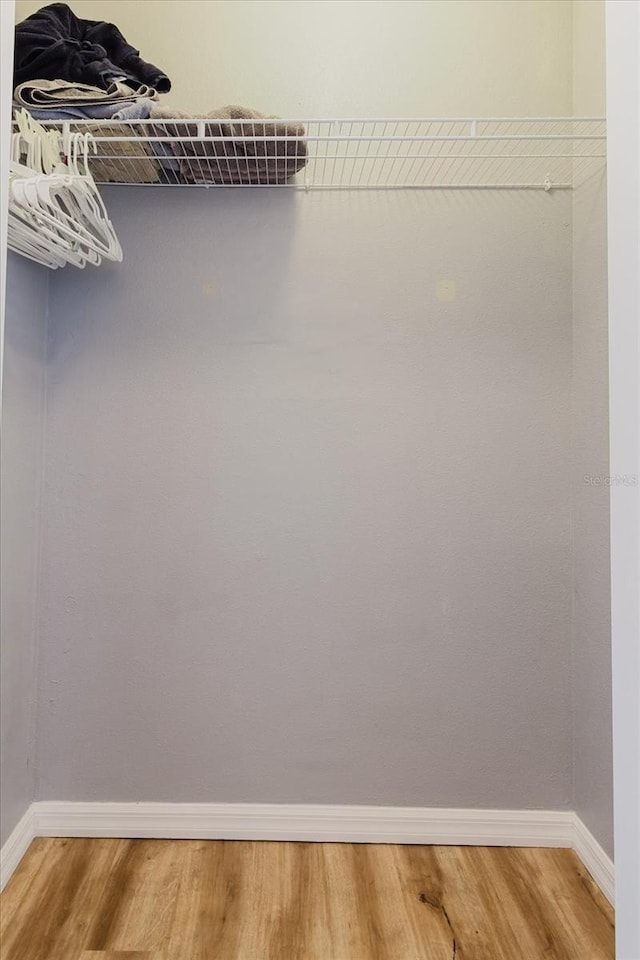 6260 Olivedale Dr, Riverview, FL 33578 - spacious closet featuring light wood-style flooring