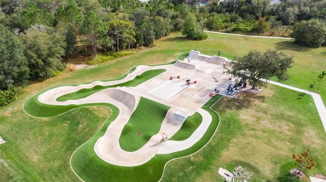 16516 Bridgewalk Dr, Lithia, FL 33547 - aerial view