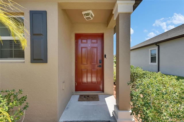 11707 Sunburst Marble Rd, Riverview, FL 33579 - entrance to property with stucco siding