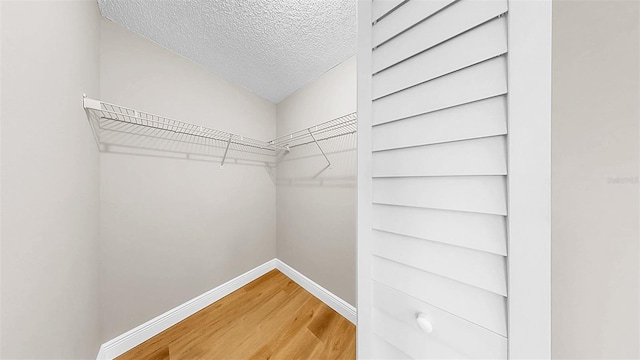 spacious closet featuring light wood-style flooring