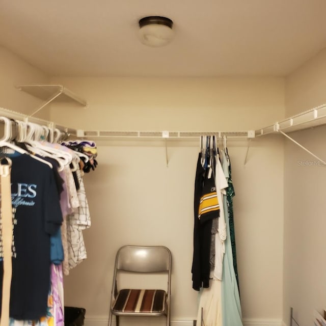 view of spacious closet