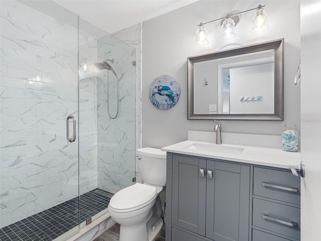 6604 Dolphin Cove Dr, Apollo Beach, FL 33572 - bathroom with vanity, a stall shower, and toilet