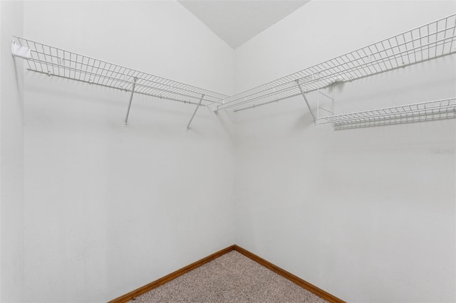 3001 Folklore Dr, Valrico, FL 33596 - walk in closet featuring carpet floors