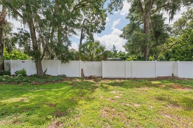 3001 Folklore Dr, Valrico, FL 33596 - view of fenced backyard