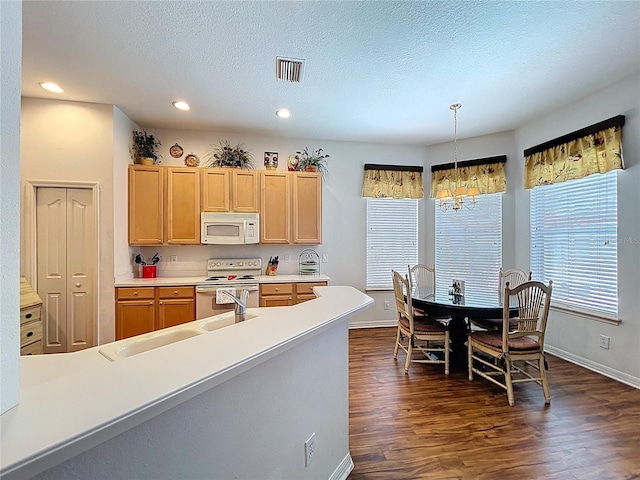 10309 Marchmont Ct, Tampa, FL 33626 - kitchen featuring white appliances, baseboards, dark wood finished floors, light brown cabinets, and recessed lighting