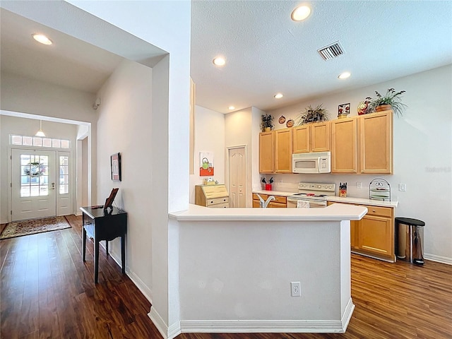 10309 Marchmont Ct, Tampa, FL 33626 - kitchen featuring white appliances, light brown cabinetry, dark wood-style floors, light countertops, and baseboards
