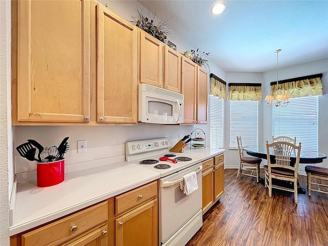 10309 Marchmont Ct, Tampa, FL 33626 - kitchen with white appliances, a chandelier, dark wood-style flooring, light countertops, and decorative light fixtures