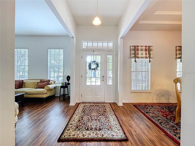 10309 Marchmont Ct, Tampa, FL 33626 - entryway featuring wood finished floors and baseboards