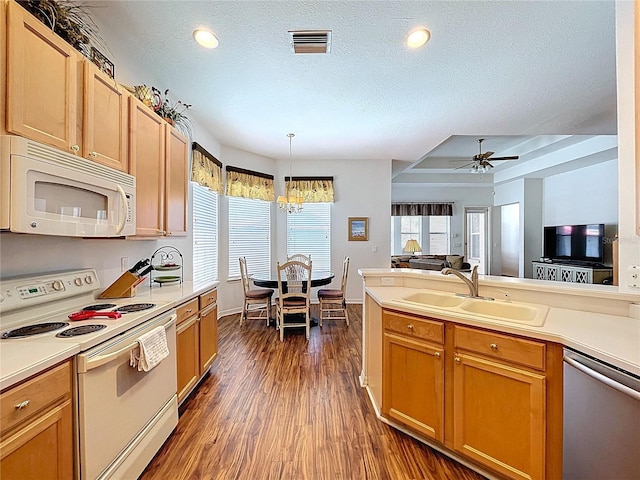 10309 Marchmont Ct, Tampa, FL 33626 - kitchen featuring white appliances, a sink, dark wood-style flooring, light countertops, and a textured ceiling